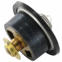 DZ100553 Thermostat -